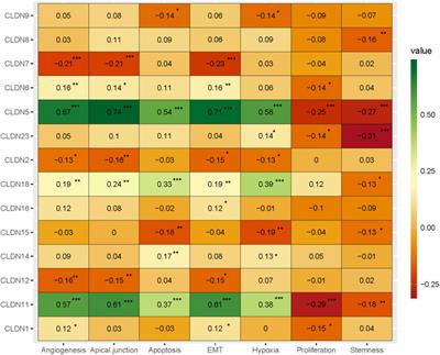 Identification of key claudin genes associated with survival prognosis and diagnosis in colon cancer through integrated bioinformatic analysis